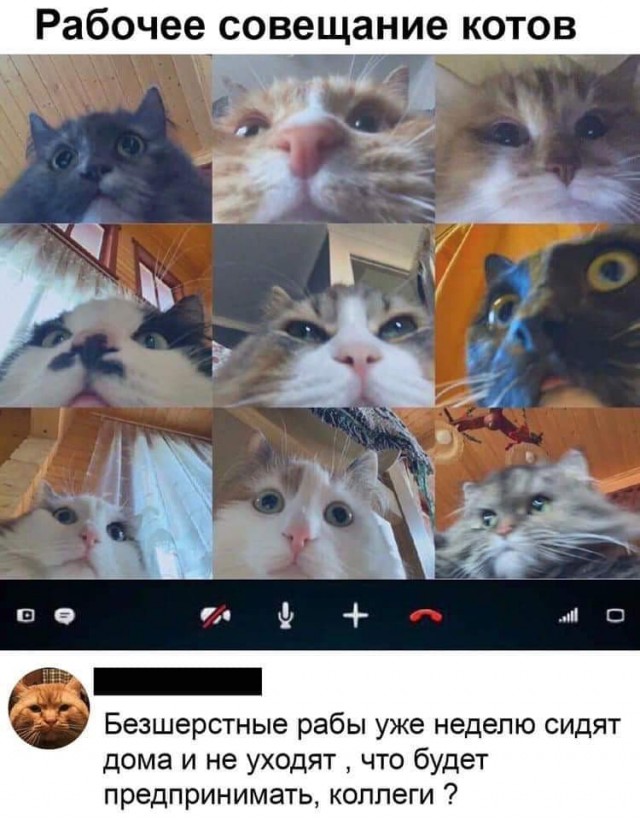 Эй вы, давно не деградировали?!