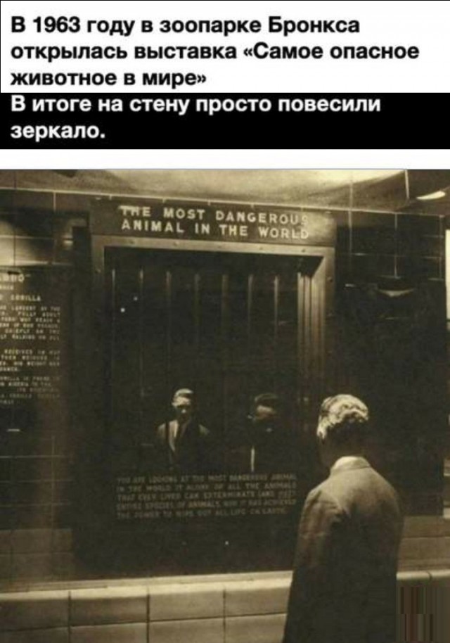 Картинки с надписями и всякие жизненные фразы 16.04.21