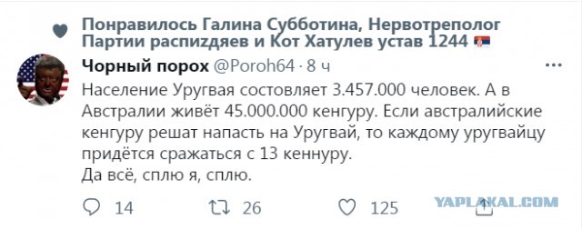 Весёлый полтишок 11.09
