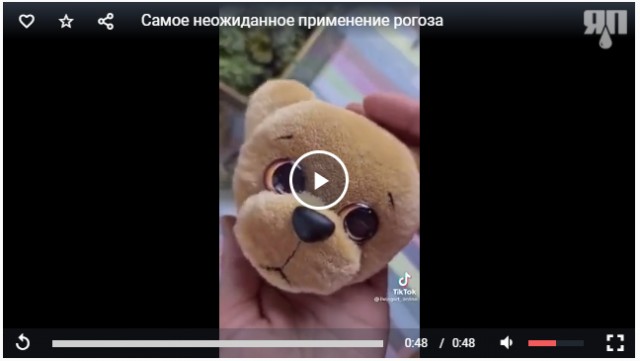 Самое неожиданное применение рогоза