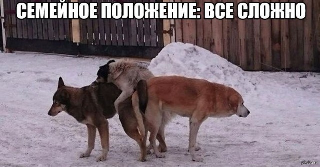 Можно ли устроить личную жизнь в 50+?