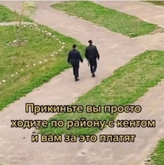 Аморальная деградация