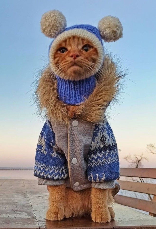 Рыбное место