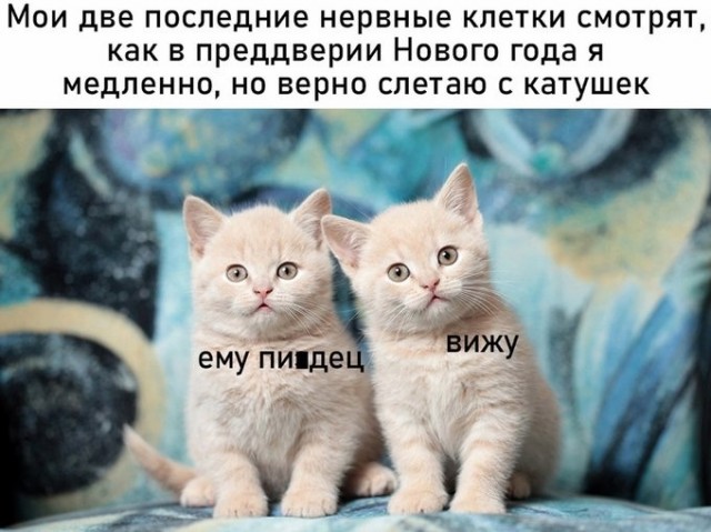 Смешные комментарии из социальных сетей 31.12.21