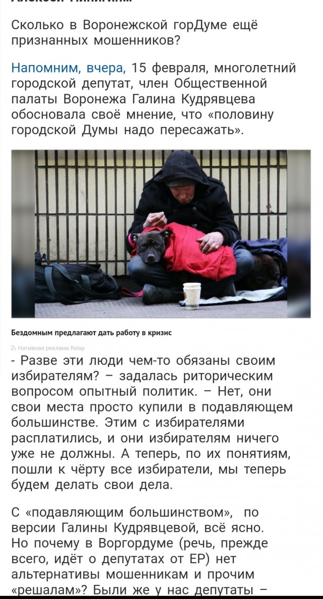 Воронеж: В лесных пожарах виноват Ходорковский и навальнята