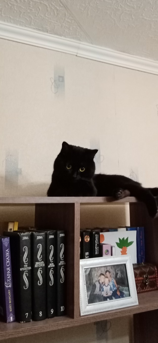Начну котовторник чуть раньше!