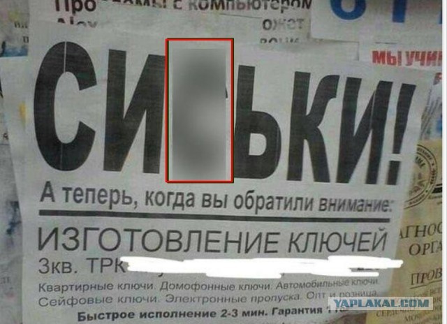 Забавные надписи и объявления из Сети 01.07.22