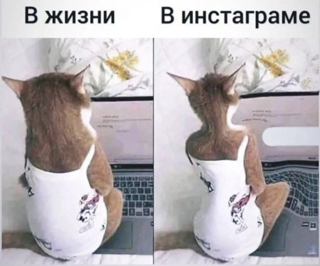 Баянисто-небаянистый юмор 1.08.22