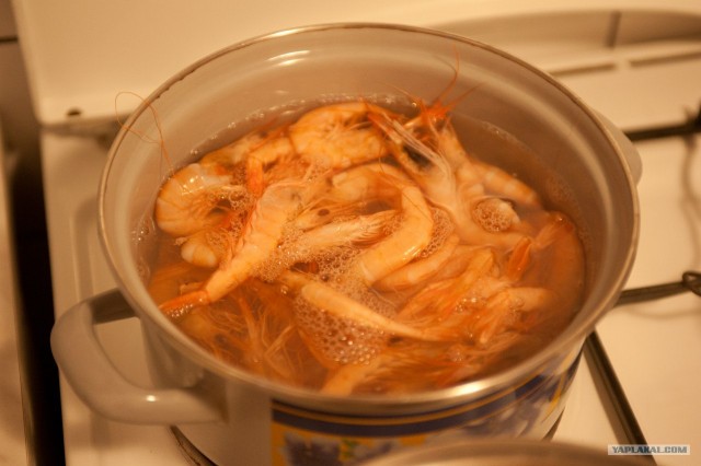 Поездка в Хорватию