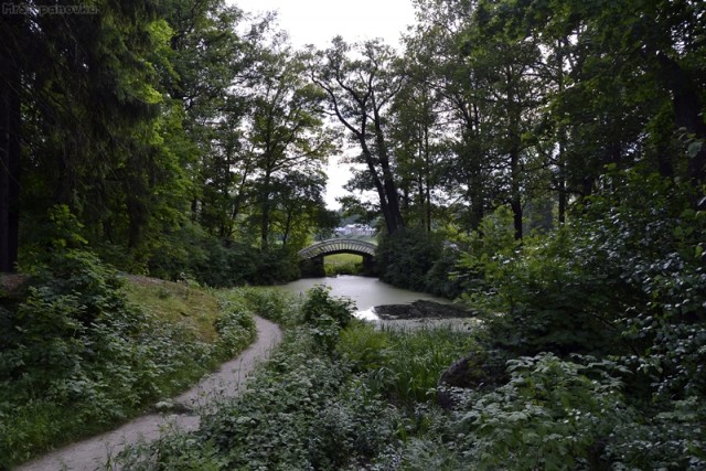 Поездка в Выборг