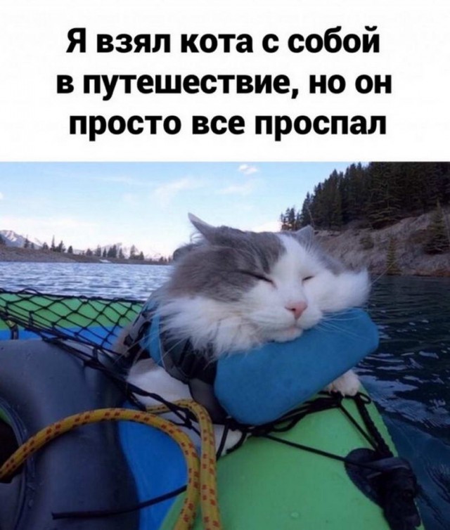 Картинки и мемы. Выходные близко...