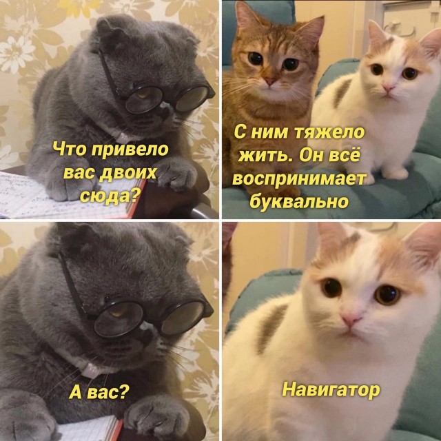 Весёлый полтишок 04.11.22