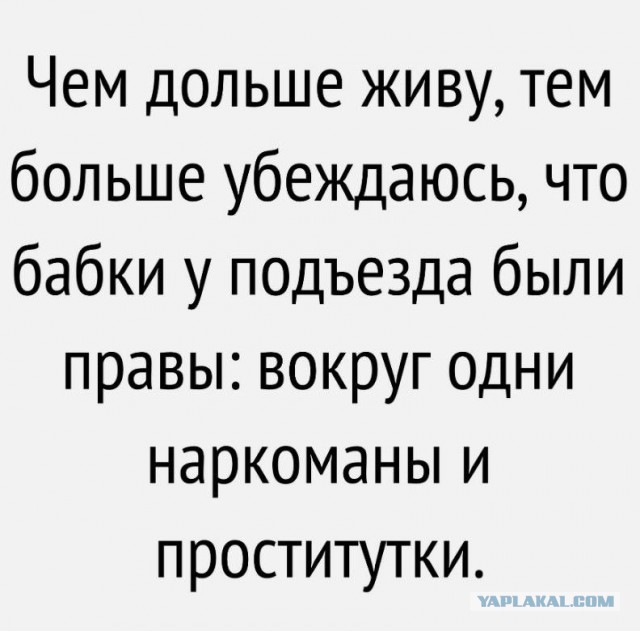 Так себе картинки 22.11.22