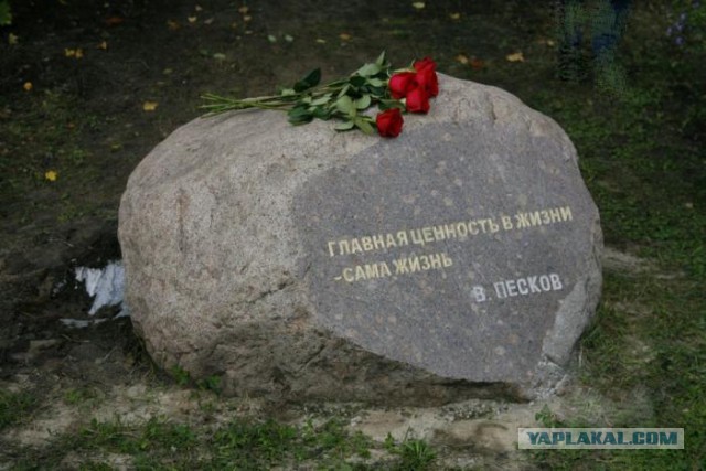 Последний приют ведущего "В мире животных" Василия Пескова