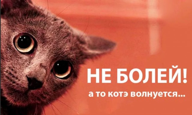 Победная поступь идиотизма по планете – том 2