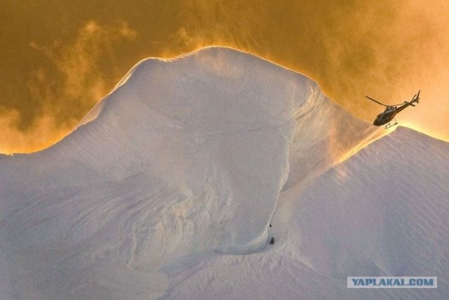 Лучшие фото 2008 года по версии Шпигель