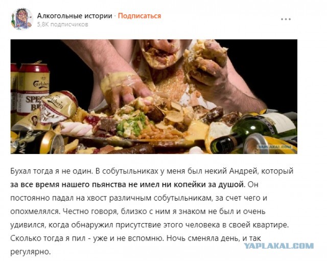 Ужасы похмелья: Как жадность фраера сгубила.