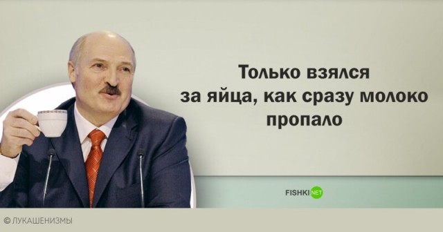 Вымирание региона на примере огурцов за 440 рублей объяснил волгоградский фермер