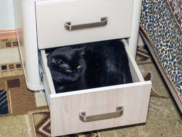 Совпало же? В котовторник