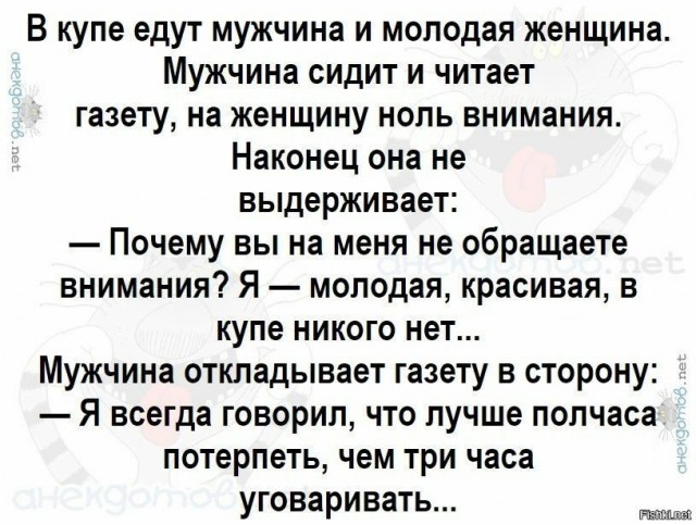 В челябинском зоопарке к львице привели для знакомства самца