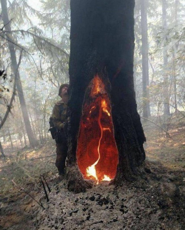 Просто фото