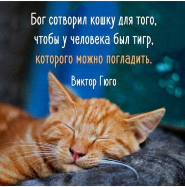 Весёлый полтишок 30.07.23