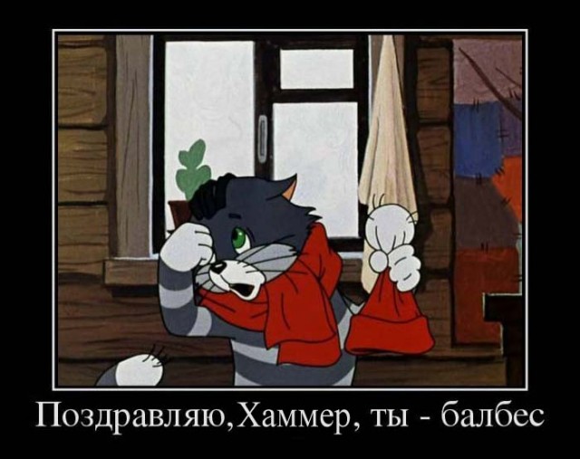 В Москве малюсенький корги съел почти килограмм щебня