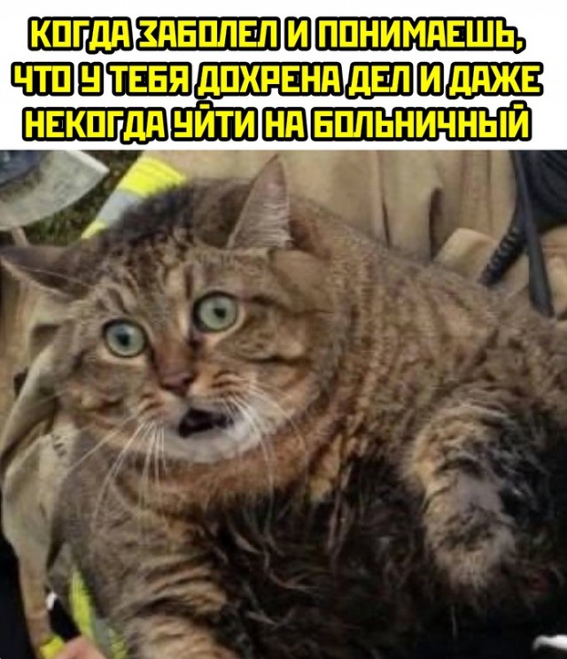 Весёлый полтишок 26.10.23