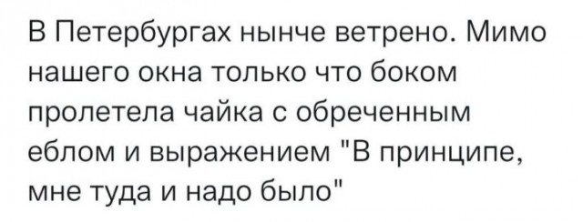 Всего понемногу. От 1.11.23
