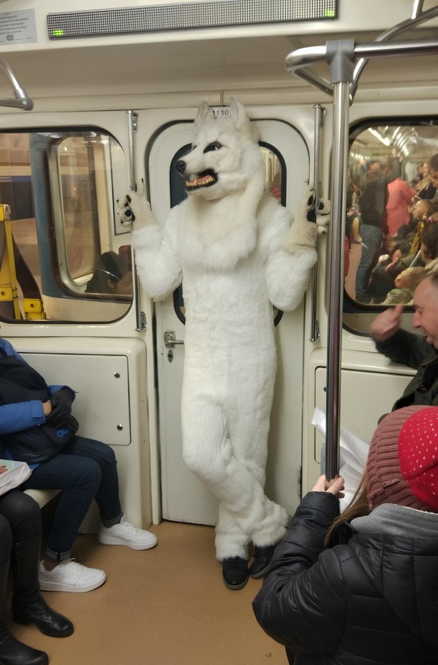 Модники из этих ваших метрополитенов