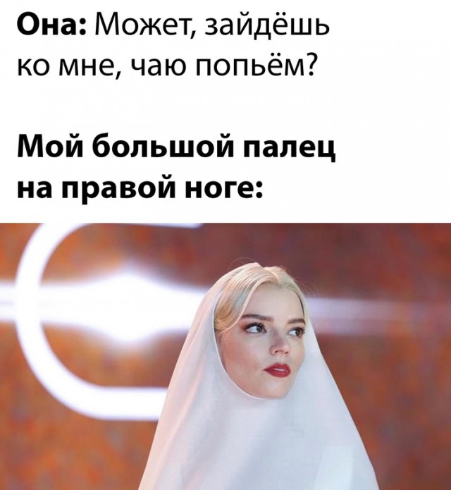 Весёлый полтишок 13.03.24