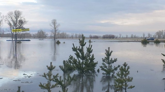 Тем временем под Барнаулом