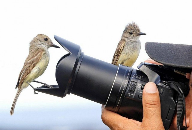 ФотоВинегрет