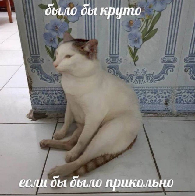 Это картонные кровати для «олимпийской деревни» во Франции от Макрона