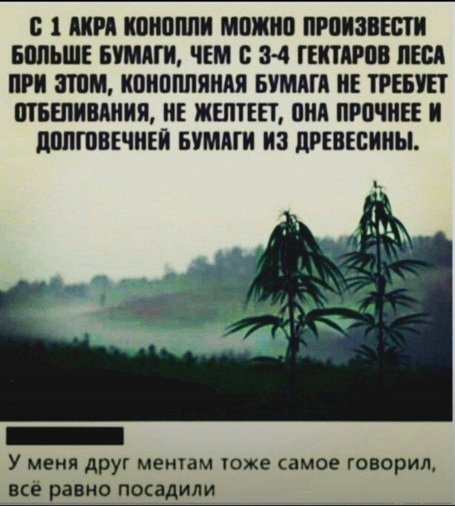 Веселые картинки к пятнице (26.07)