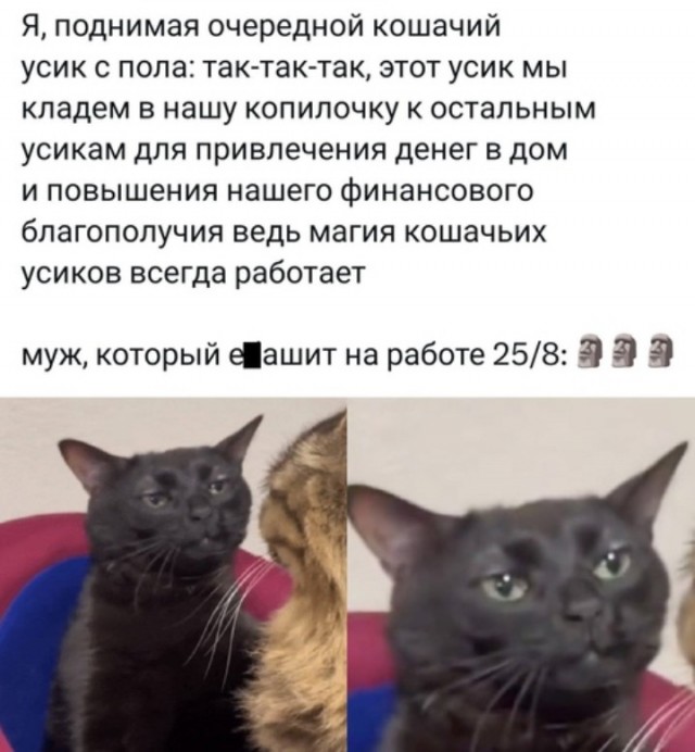 Всего понемногу. От 08.12.24