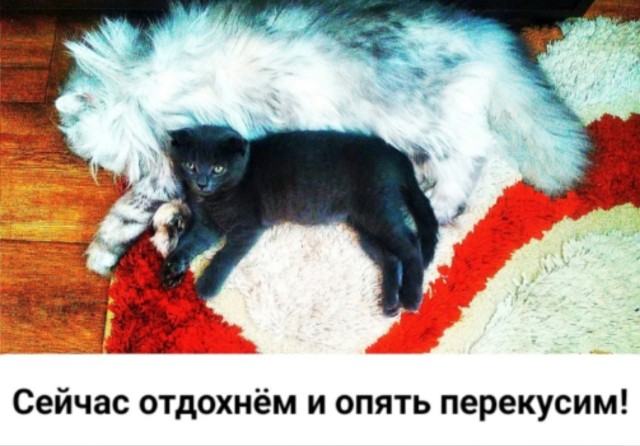 Так себе картинки 25.12.24