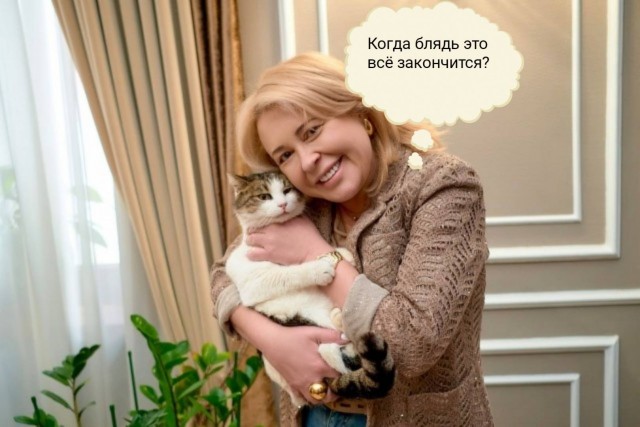 Спасшуюся чудом кошку в Ялте, скорее всего, заберёт к себе глава города