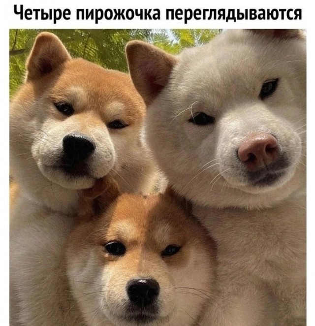 Так себе картинки 28.03.25
