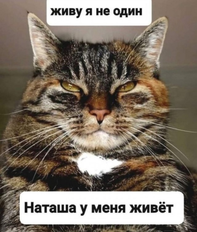 Юмор за день