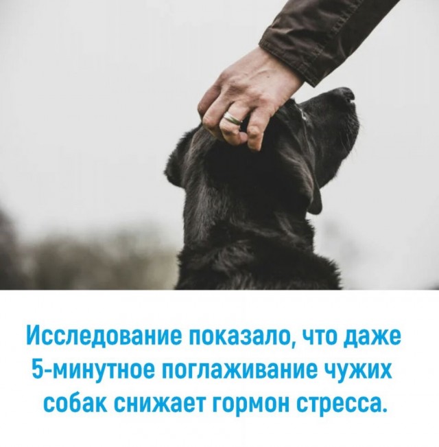 Так себе картинки 31.05.25