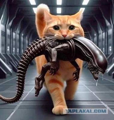 "Британские учёные" и пушистые манипуляторы.