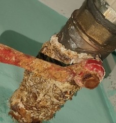 Сантехники появились?