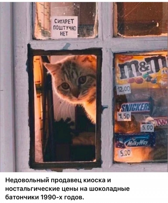 Интересные фотографии 1990 -х 13.07.25