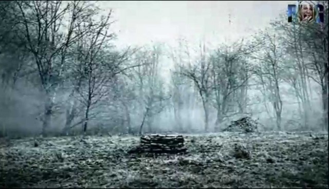 Памятник жертвам психических расстройств