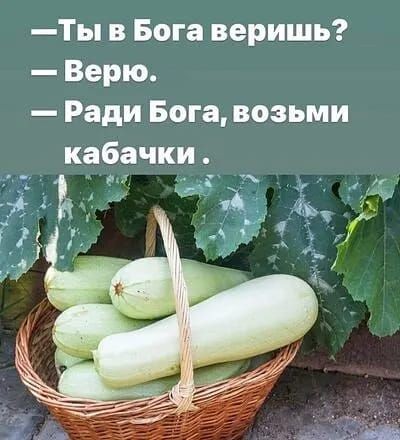 Про кабачки