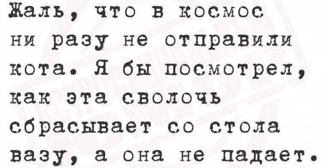 Смешнявых и не очень картинков пост