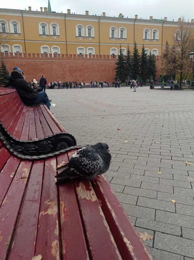 Московское метро: по мотивам темы Совы.