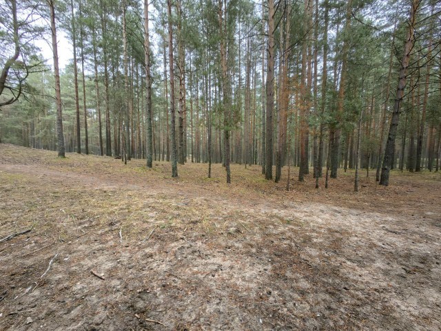 Депутат от Единой России в городе Дубна предлагает дубненцам, которые не хотят благоустойства соснового бора мигрировать