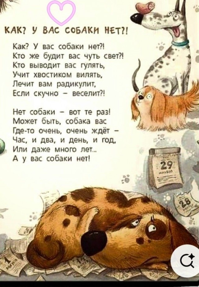 Куча сала 9